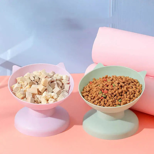 Tilted Pet Bowl – Anti-Choking, Spill-Proof Feeding Solution!