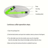 LED Glow Dog Leash – Safe, Bright, Nighttime Visibility!