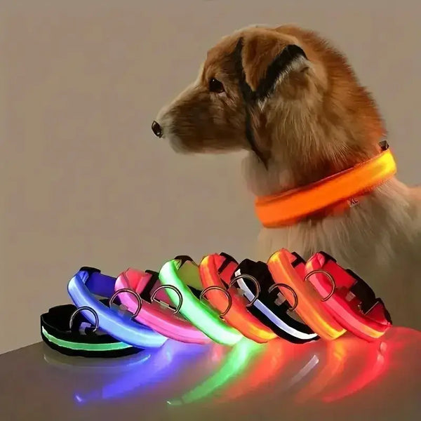 LED Glow Dog Leash – Safe, Bright, Nighttime Visibility!