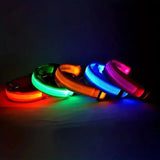 LED Glow Dog Leash – Safe, Bright, Nighttime Visibility!