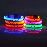 LED Glow Dog Leash – Safe, Bright, Nighttime Visibility!