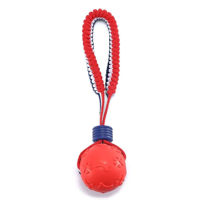 Interactive Dog Ball: Chew, Play, Train Anywhere!