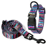 Vibrant Multi-Colored Dog Collar & Leash: Style Meets Comfort! - Bark Adventure Shop