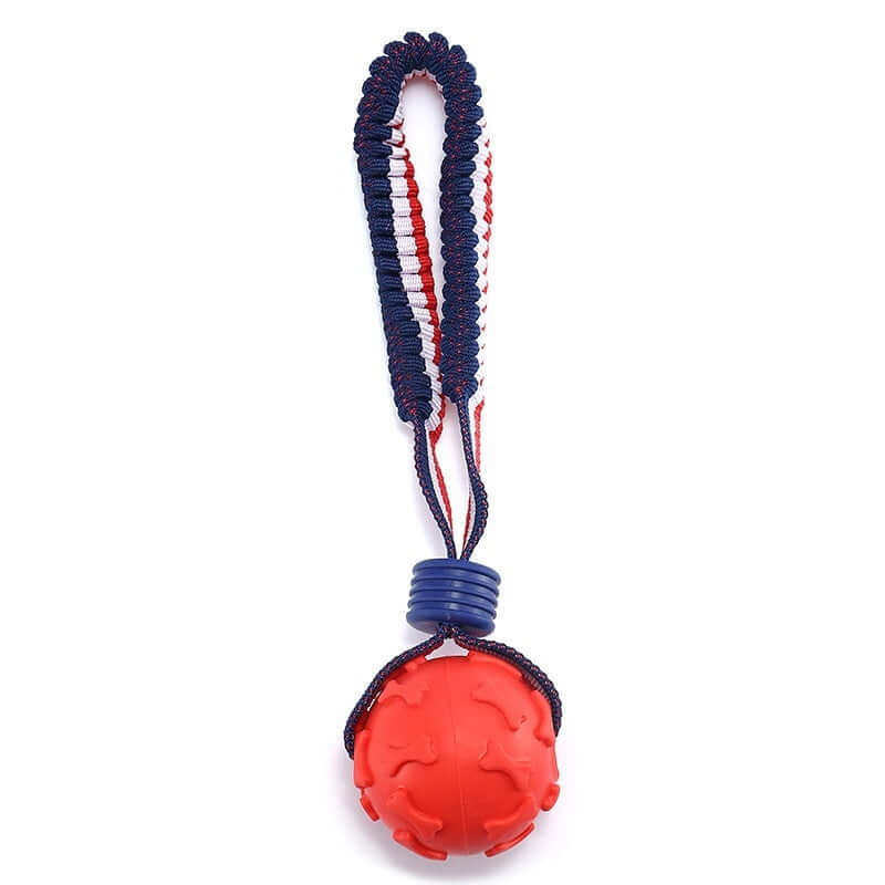 Interactive Dog Ball: Chew, Play, Train Anywhere!