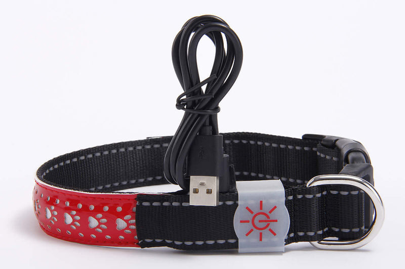 LED Engraved Leather Dog Collar – Stylish & Safe at Night