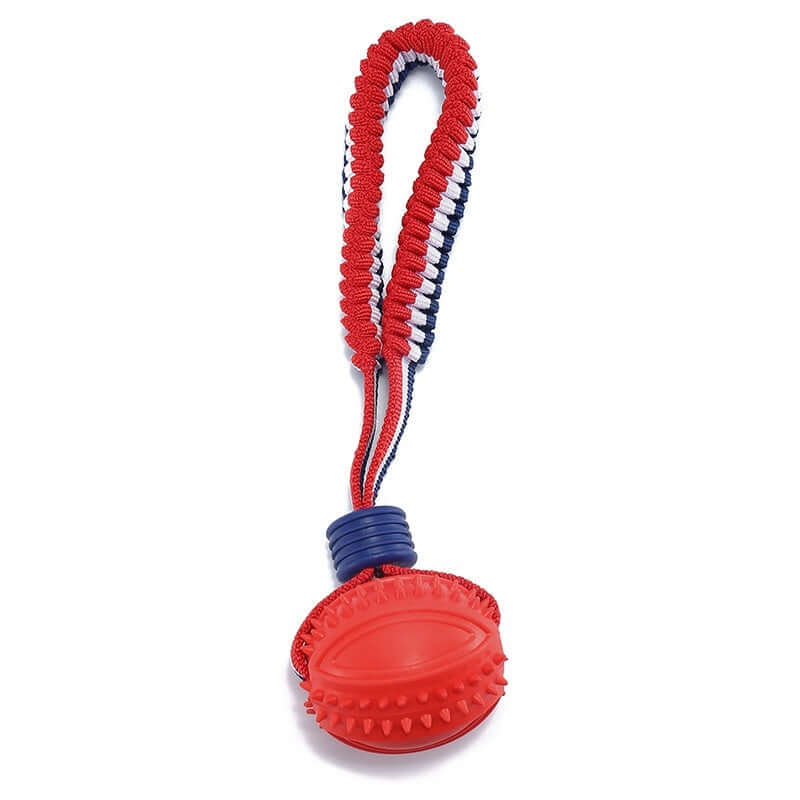 Interactive Dog Ball: Chew, Play, Train Anywhere!