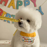 Pet Birthday Hat & Bib Set – Cute Party Outfit