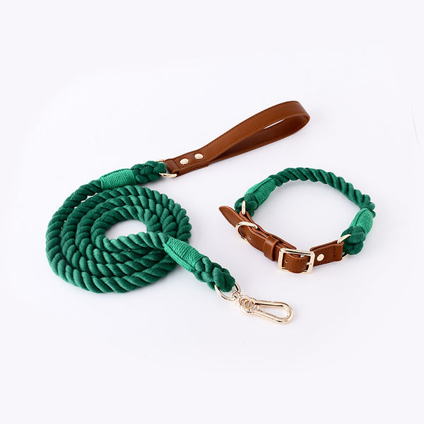 Stylish Woven Leather Dog Leash & Collar - Bark Adventure Shop