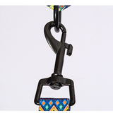 Vibrant Multi-Colored Dog Collar & Leash: Style Meets Comfort! - Bark Adventure Shop