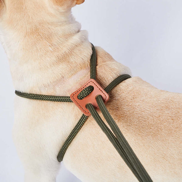 Adjustable Dog Harness with Leash – Comfort and Control!