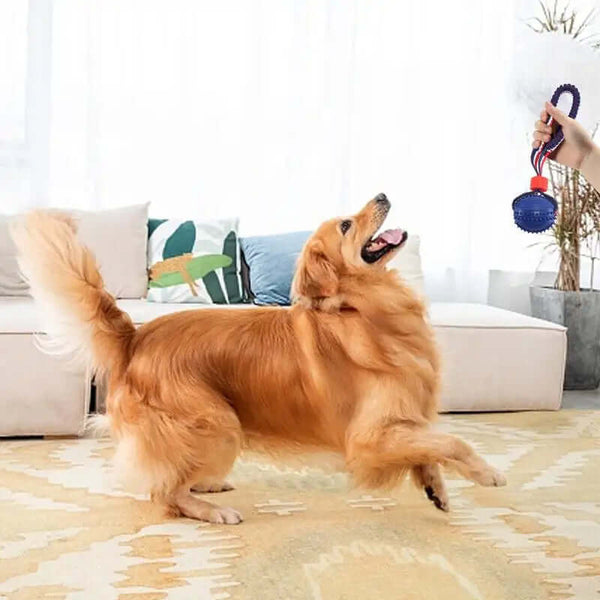 Interactive Dog Ball: Chew, Play, Train Anywhere!