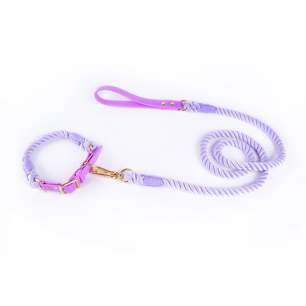 Stylish Woven Leather Dog Leash & Collar - Bark Adventure Shop