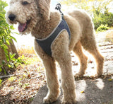 Durable Dog Harness: Stylish, Secure, and Comfortable! - Bark Adventure Shop