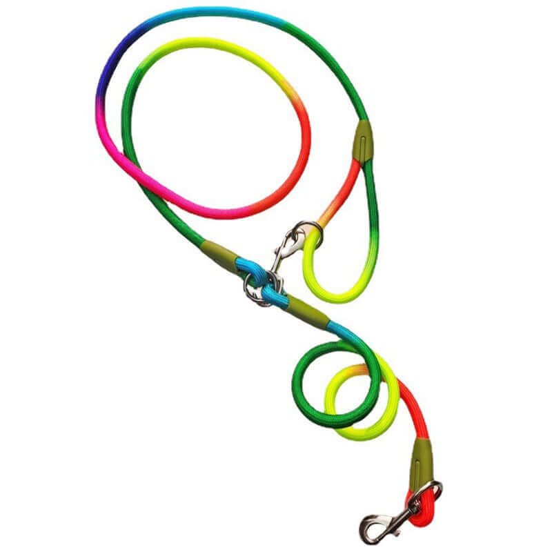 Durable Nylon Dog Leash – Strong, Comfortable & Tangle-Free